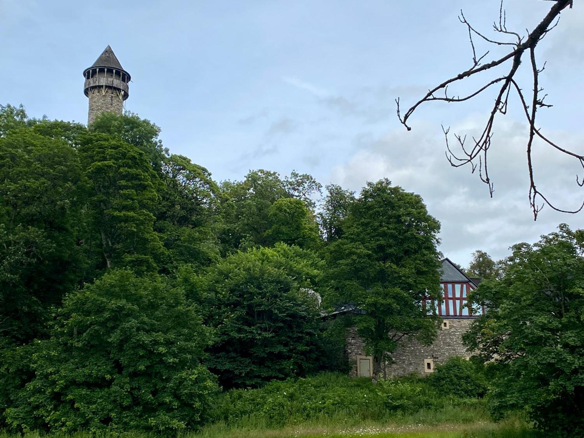 Ferienwohnung An Der Wildenburg Kempfeld エクステリア 写真