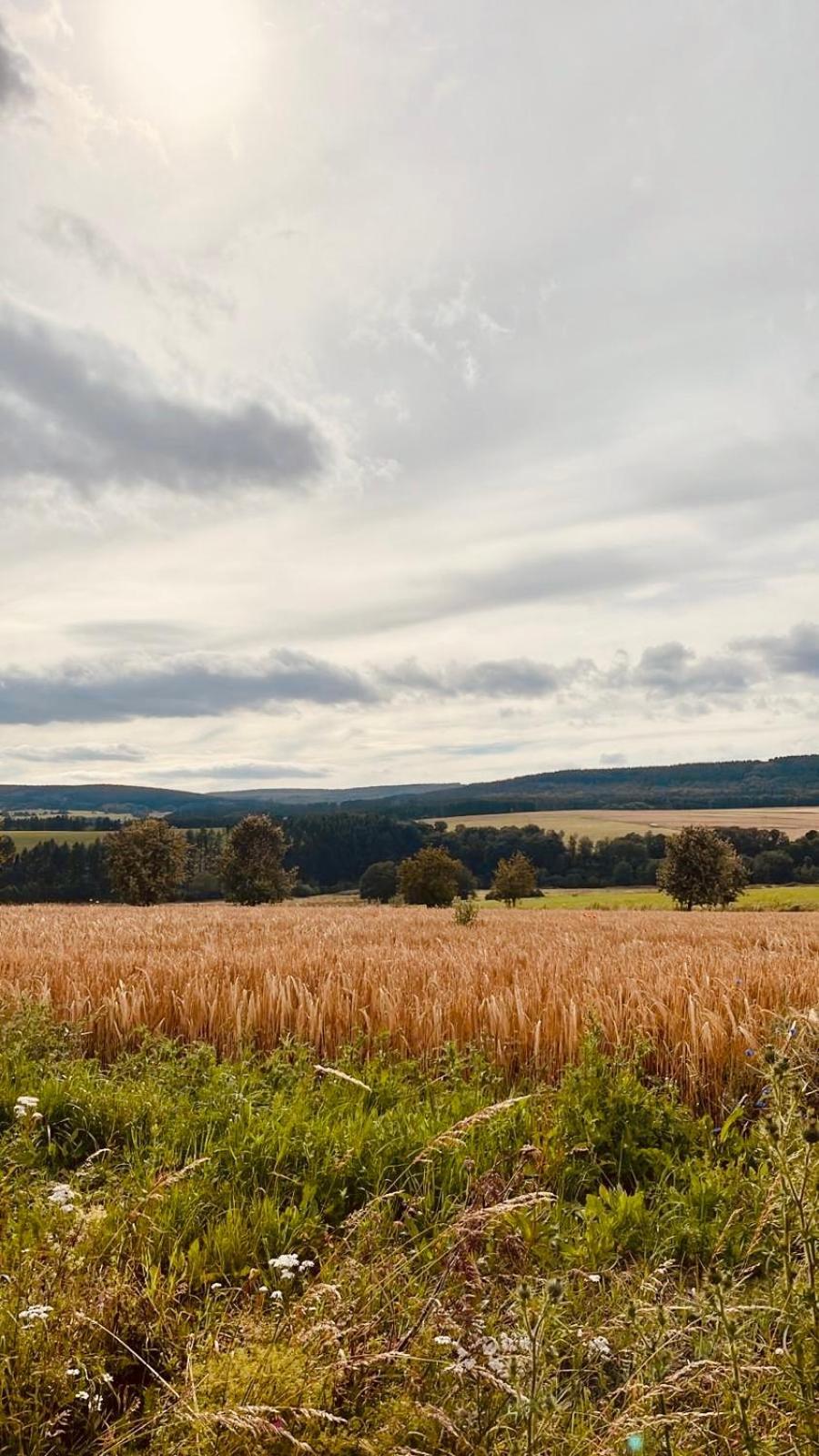 Ferienwohnung An Der Wildenburg Kempfeld エクステリア 写真